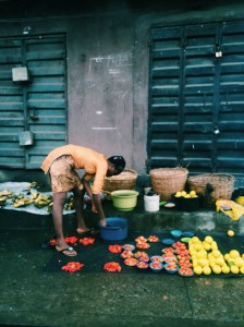 Begin- Old Land New Vibes