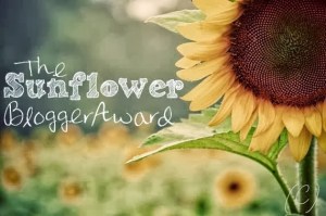 Sunflower award- Inner workings of a color lover